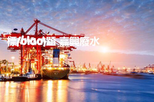 標(biāo)題 嘉興廢水處理廠家：解密行業(yè)隱形冠軍？